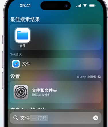 鄢陵apple维修中心分享iPhone文件应用中存储和找到下载文件 