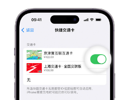 鄢陵apple维修点分享iPhone上更换Apple Pay快捷交通卡手绘卡面 