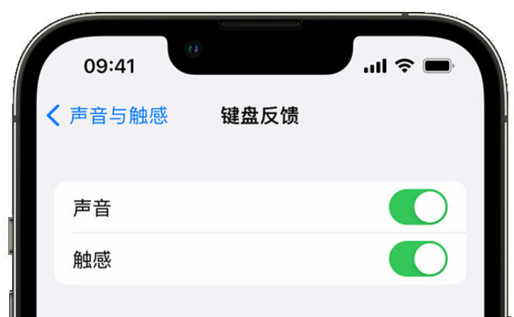 鄢陵苹果手机维修分享iPhone 14触感键盘使用方法 