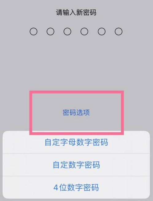 鄢陵苹果14维修分享iPhone 14plus设置密码的方法 