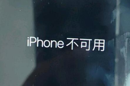 鄢陵苹果服务网点分享锁屏界面显示“iPhone 不可用”如何解决 