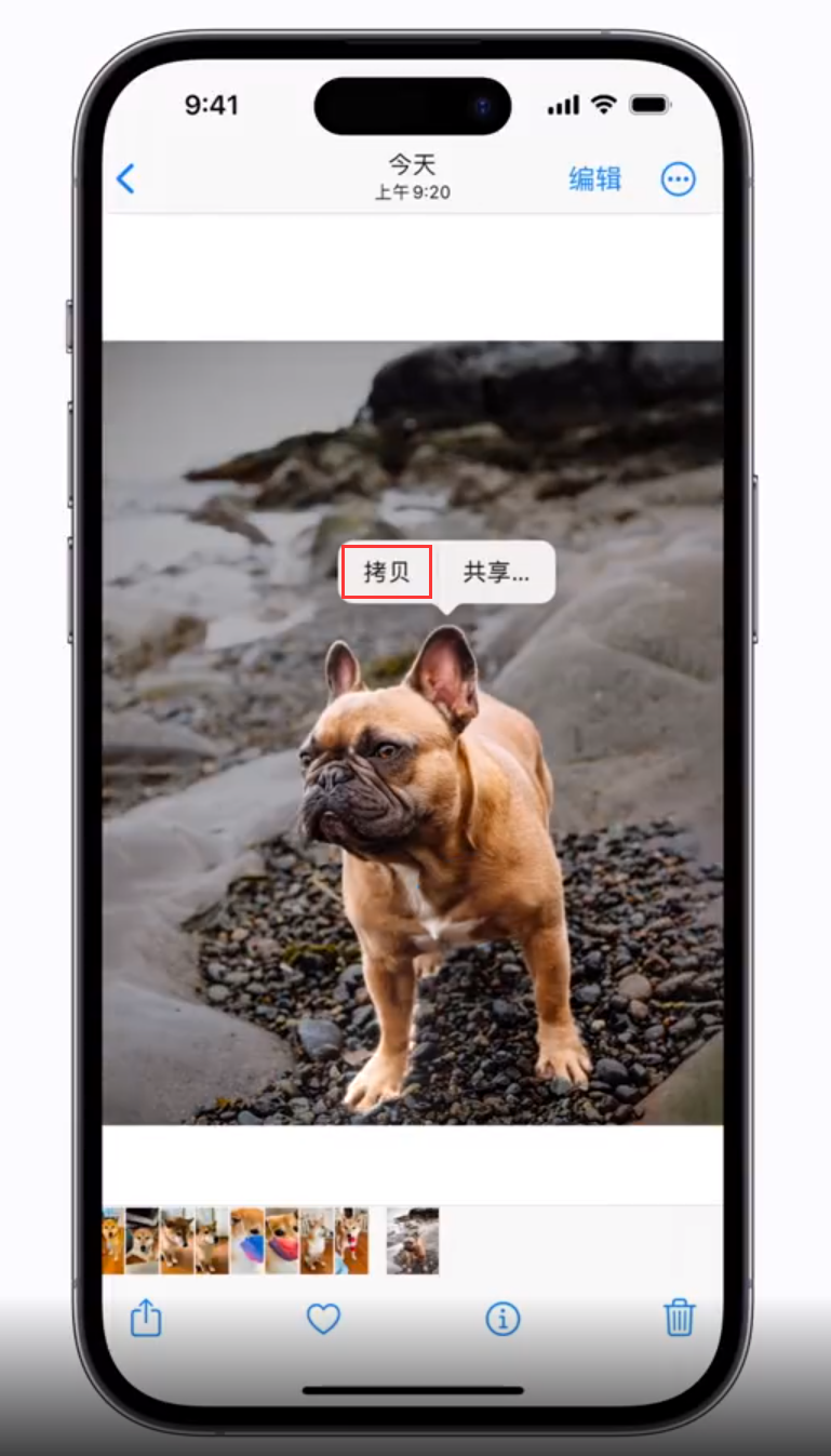 鄢陵苹果手机维修分享 iOS 16 自带一键抠图功能 