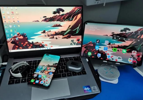 鄢陵苹果手机维修分享为什么iPad屏幕更大价格却比iPhone低 