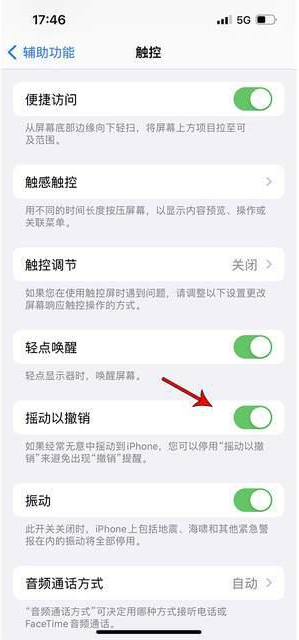 鄢陵苹果手机维修分享iPhone手机如何设置摇一摇删除文字 