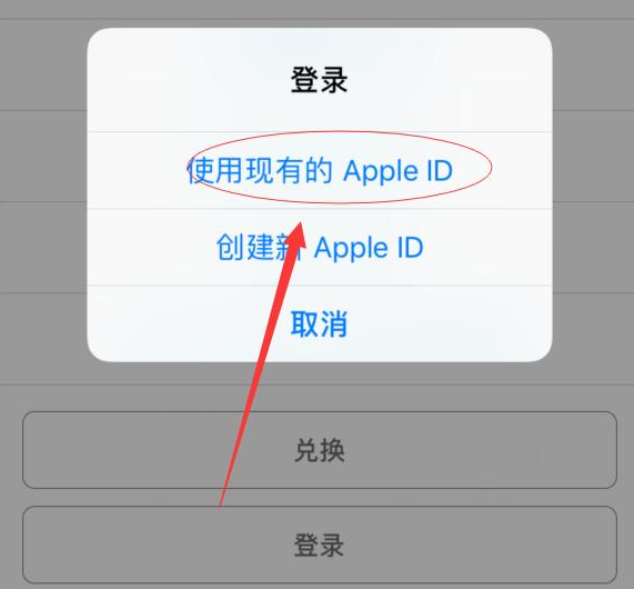 鄢陵苹果手机维修分享两台iPhone设备可以同时登录一个Apple ID吗 