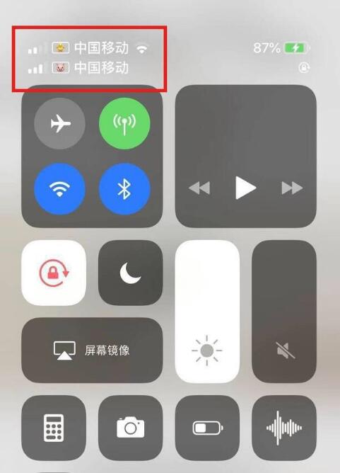 鄢陵苹果手机维修分享为 iPhone 12 双卡设置标签 